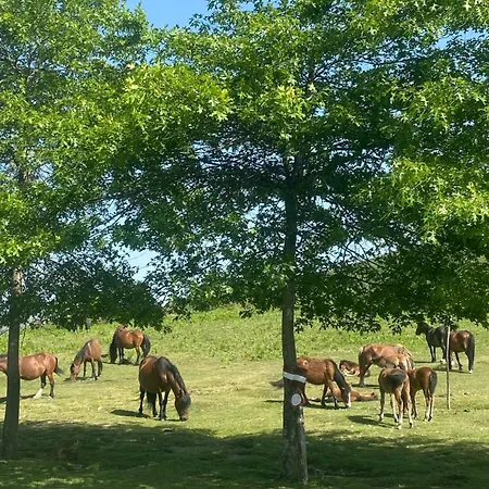 Casa de Férias Casa Da Fonte, Monte Terras de Bouro