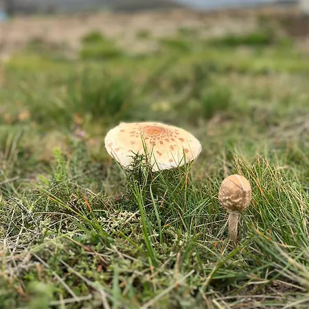 Casa Da Fonte, Monte Casa de Férias Terras de Bouro