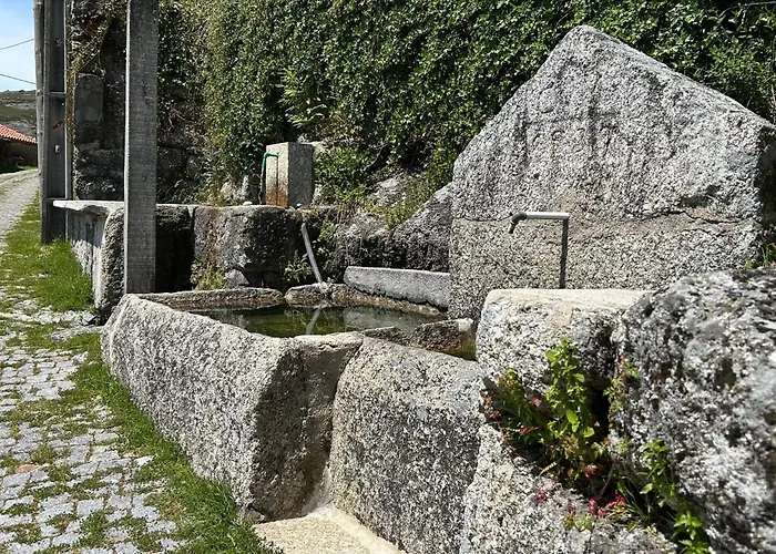 Casa Da Fonte, Monte Дом отдыха Терраш-ди-Бору